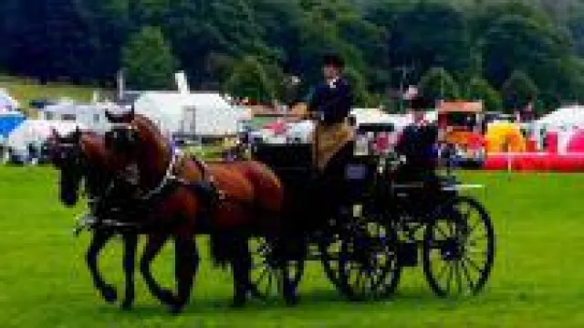 Bild: Erstmalig in Deutschland! 1. Kutschenseminar in Deutschland