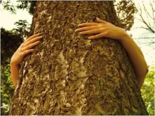 Bild: “Wood first” – SWISS KRONO GROUP unterstützt Europäische Holzaktionstage in Brüssel