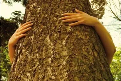 Bild: “Wood first” – SWISS KRONO GROUP unterstützt Europäische Holzaktionstage in Brüssel