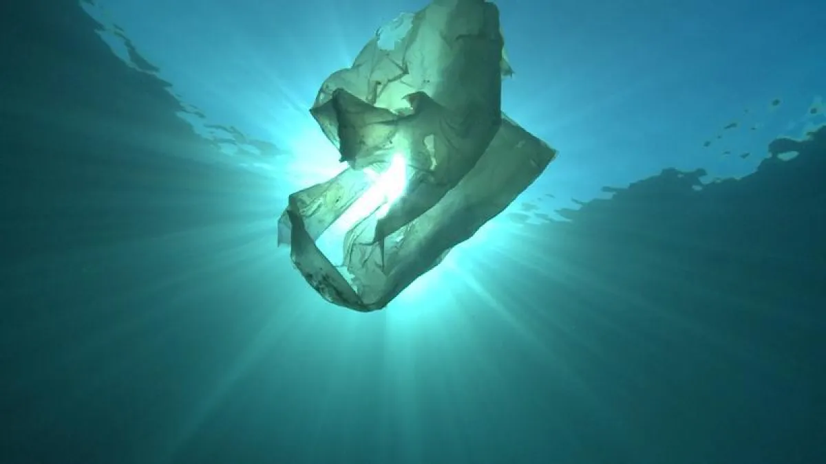 Plastikmüll zerlegt sich mit der Zeit in Millionen von Mikroplastikteilchen und verschmutzt so Umwelt und Nahrungsketten. ( Foto: Martin Koch)