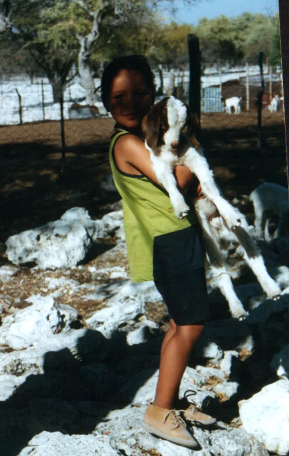 Ziegen streicheln, auf 200 meter hohen Sanddünen toben und viele Zwischenstopps - Familienferien in Namibia organisiert von African Desk