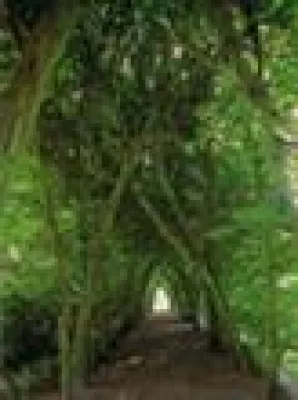 Bild: Förderverein zeigt Fotografien von Ingolf Heinemann, DGPh, im Krankenhaus Neustadt