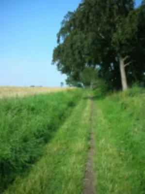 Bild: Wandern & Meditieren - Aktiv sein für die eigene Gesundheit