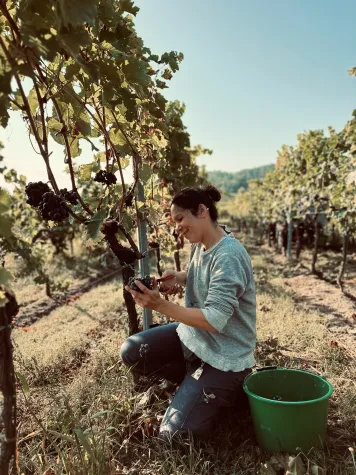 Bild: Weingut Marie Adler – lebendige Terroirweine aus dem Herzen der Pfalz