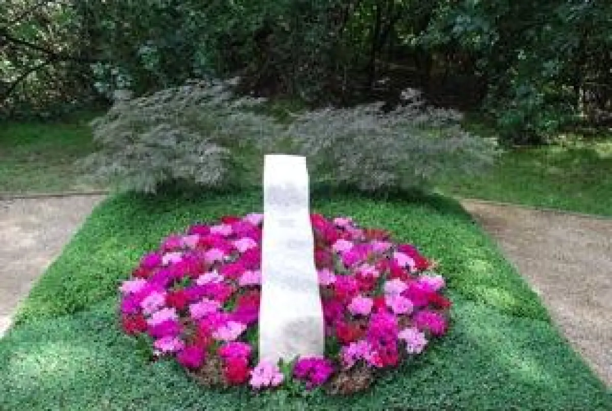 Besonders beliebt sind dieses Jahr Alpenveilchen in den Farbschattierungen Violett und Lila. (Bildnachweis: BdF)