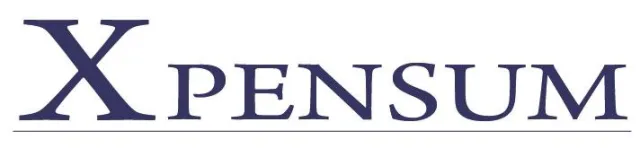 Bild: Reinhold Sigler als Referent zu Mobile Payment im POS bei DIHK in Berlin