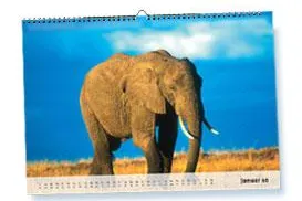 Kalender 2010 mit Ferienterminen der Bundesländer - kostenlose Druck-Datei Bild: Kalender 2010 mit Ferienterminen der Bundesländer - kostenlose Druck-Datei