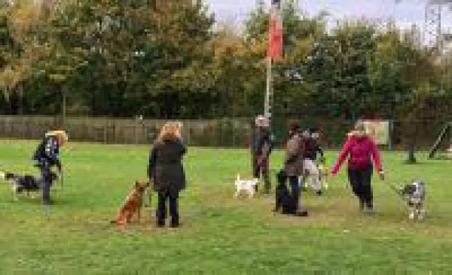 Bild: Hundetrainer - Lehrgang zum Traumberuf startet im Februar