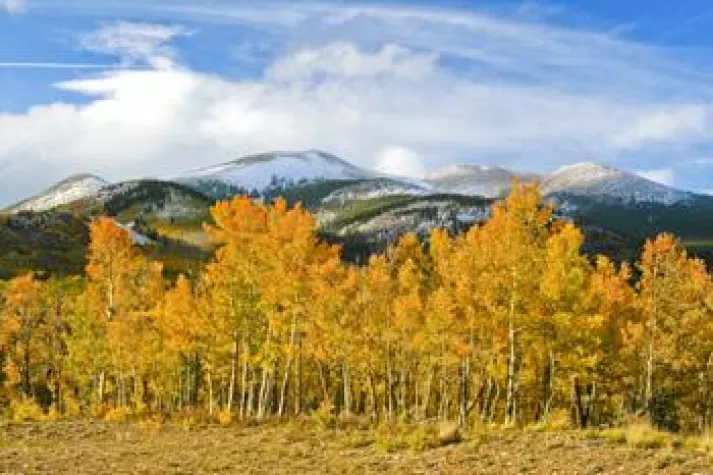 Bild: Immer den Farben nach – Ungewöhnliche Wege durch das herbstliche Colorado