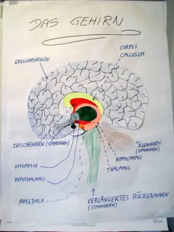Bild: Mentaltraining – für geistige Agilität bis ins hohe Alter