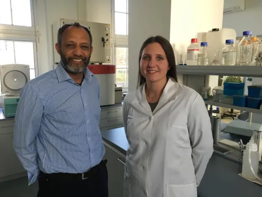 Bild: Forscher untersuchen Putenherzen - Rückschlüsse auf Herzerkrankungen beim Menschen?