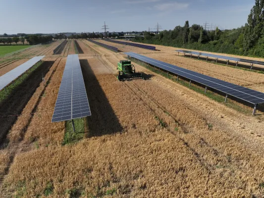 Bild: Planung, Genehmigung und Bau von Agri-PV-Anlagen einfach erklärt