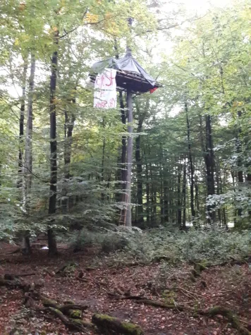 Sofortiger Räumungs- und Rodungsstopp im Dannenröder Wald und Herrenwald! Bild: Sofortiger Räumungs- und Rodungsstopp im Dannenröder Wald und Herrenwald!