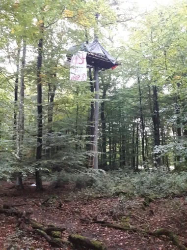 Sofortiger Räumungs- und Rodungsstopp im Dannenröder Wald und Herrenwald! Bild: Sofortiger Räumungs- und Rodungsstopp im Dannenröder Wald und Herrenwald!