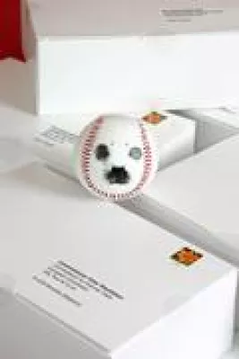 Bild: Baseballs gegen Robbenmord