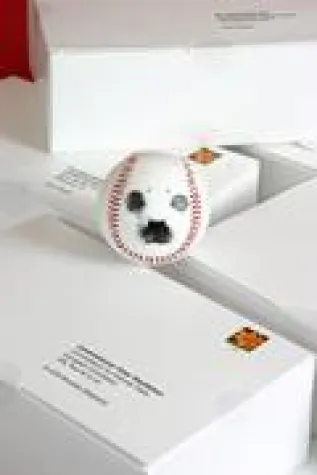 Baseballs gegen Robbenmord Bild: Baseballs gegen Robbenmord