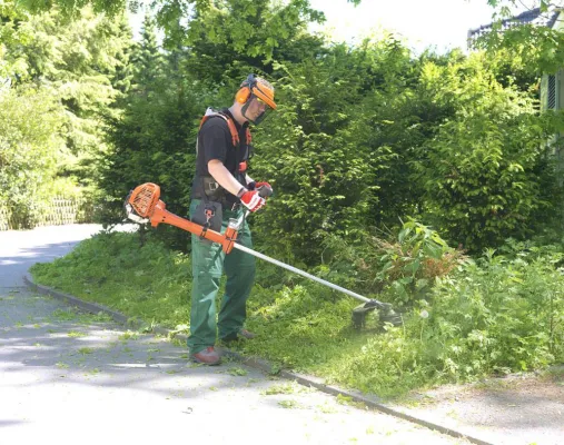 Kraftvolle Motorsensen für den Profieinsatz Bild: Kraftvolle Motorsensen für den Profieinsatz