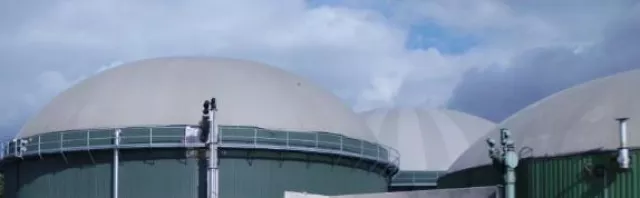 Bild: Biogasmotoren-Betreiber und ihre Herausforderungen 2014