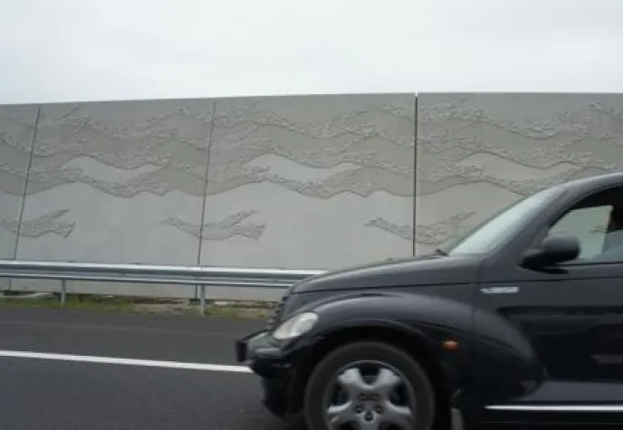 Bild: Zugvögel an der Autobahn