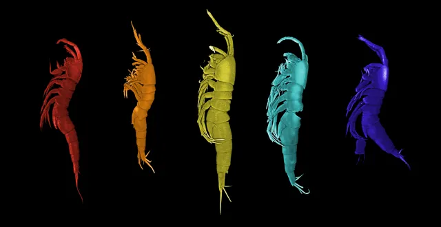 Bild: Wahrnehmung von KI als "Jobkiller" beeinflusst Einstellung zu Demokratie negativ