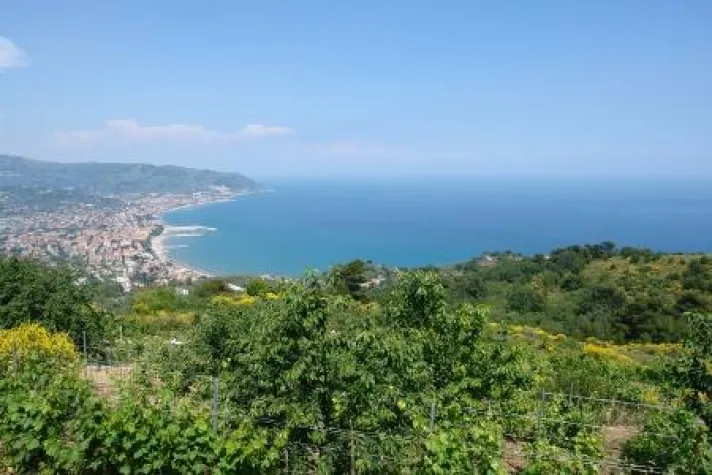 Bild: Settimana Santa an der BlumenRiviera