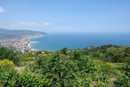Bild: Settimana Santa an der BlumenRiviera