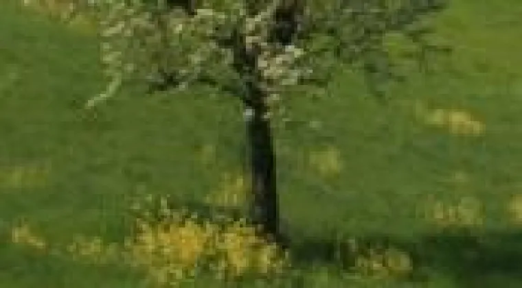 Bild: Andreas Schweinbenz fröhnt der Gründerlust