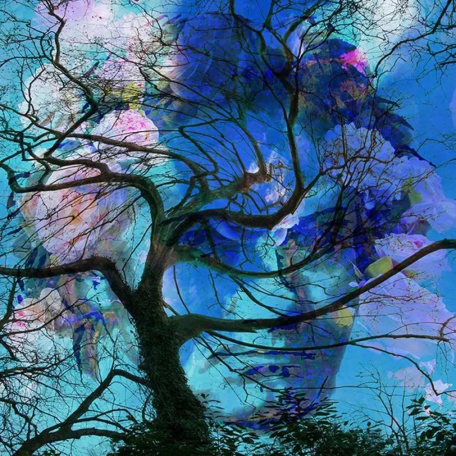 BEETHOVEN PASTORALE 100106