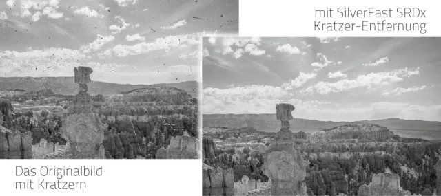 Bild: Erfolgreiche Staub- und Kratzerentfernung SRDx für Photoshop-Anwender jetzt auch für Windows