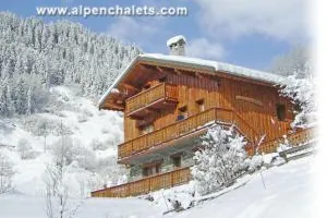 Bild: besondere Chalets und Hütten - buchbar für Winter 2010