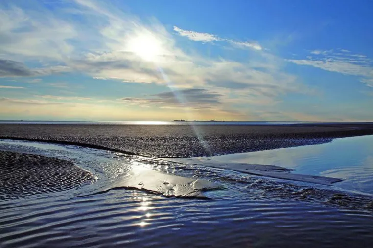 Bild: Nordseefrische im Herbst