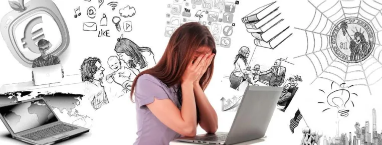 Bild: Internet-Marketing – Anfänger sehen oft den Wald vor lauter Bäumen nicht