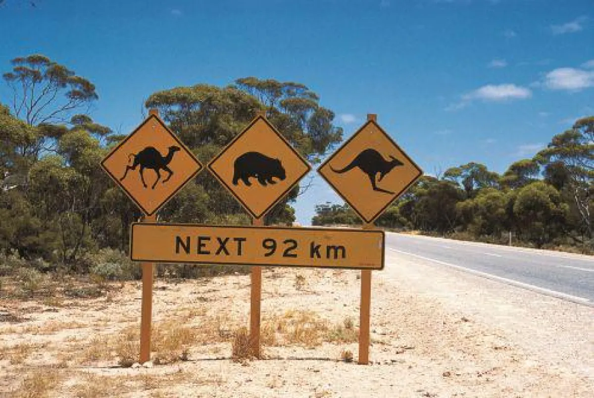 Eyre Highway road signs (c)Tourism Western Australia
