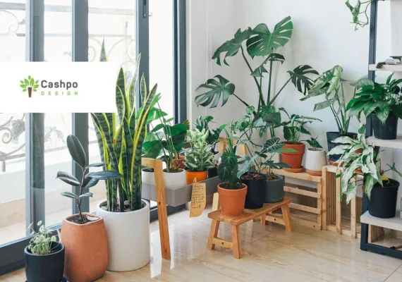 Bild: Topfblumen von Cashpo Design - die ultimative Wohnraumdekoration