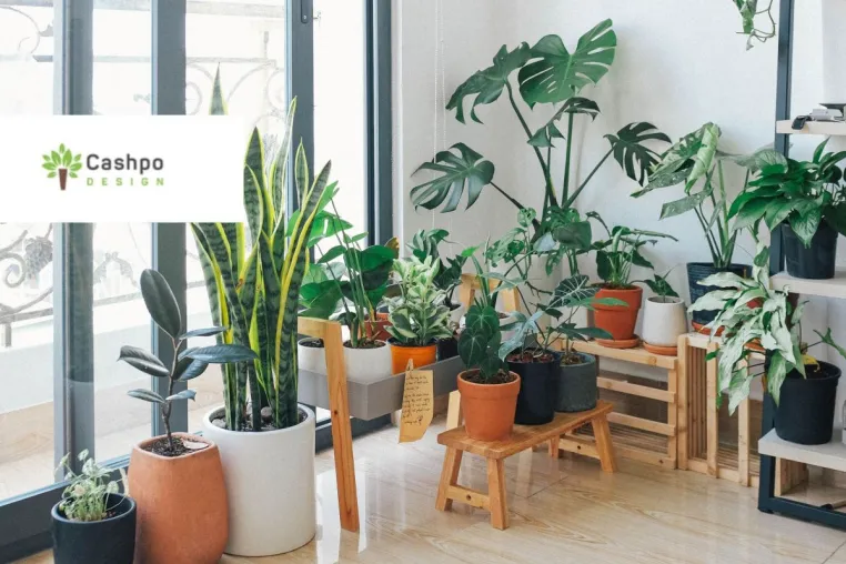 Topfblumen von Cashpo Design - die ultimative Wohnraumdekoration Bild: Topfblumen von Cashpo Design - die ultimative Wohnraumdekoration
