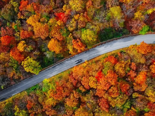 Bild: Die besten Regionen für Deutschlandurlaub im Herbst
