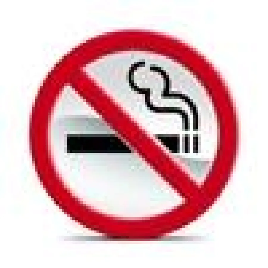 Nichtraucherportale im Vergleich