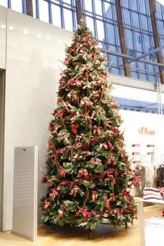 Bild: REACh-konforme Weihnachtsbäume