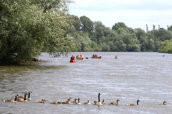 Bild: Langer Tag der StadtNatur: Tausende Besucher bei Hamburgs größtem Natur-Event