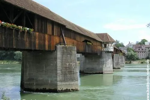 Bild: Äschen am Hochrhein