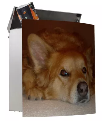 Do it yourself auf motivbriefkasten.de Bild: Do it yourself auf motivbriefkasten.de