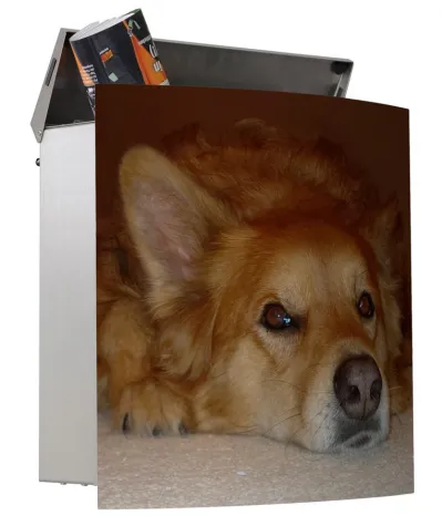 Bild: Do it yourself auf motivbriefkasten.de