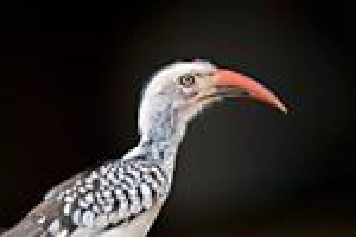 Tagesseminar Adobe Photoshop Lightroom - FOTOCAMPUS Claus Brandt