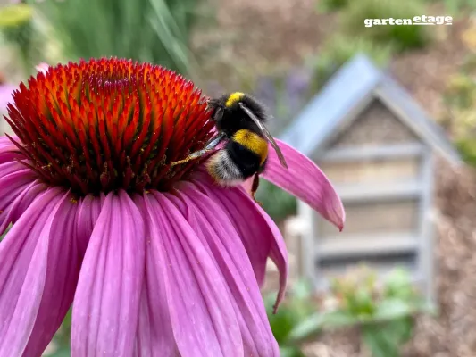 Bild: gartenetage- Gestaltung neuer Lebensräume für Wildtiere und Insekten