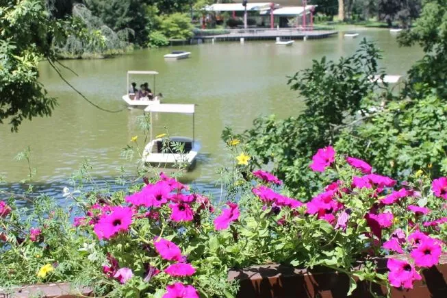Bild: Karlsruhe – die Stadt der grünen Oasen & blühenden Gärten