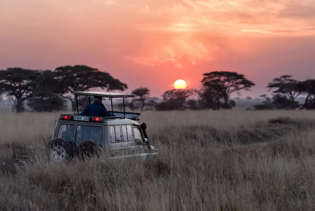Safari in Tansania