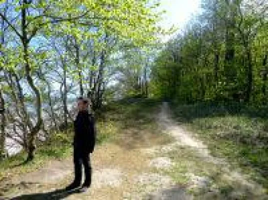 Waldspaziergänge für die Gesundheit Bild: Waldspaziergänge für die Gesundheit