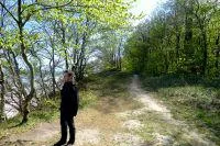 Bild: Waldspaziergänge für die Gesundheit
