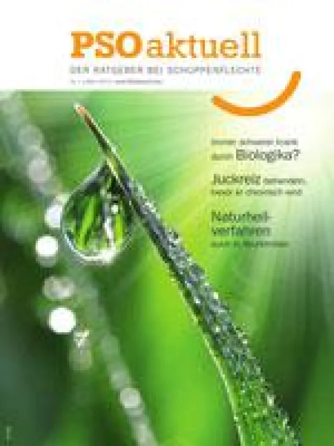 PSOaktuell Heft März 2013