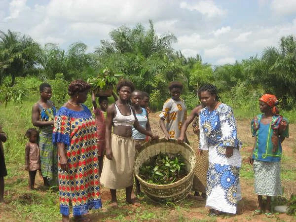 Diese Frauen in Togo haben schon mehr gegen den Klimawandel getan als die meisten von uns